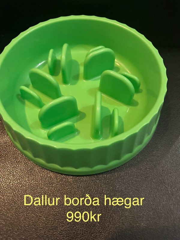 Grænn dallur borða hægar hunda