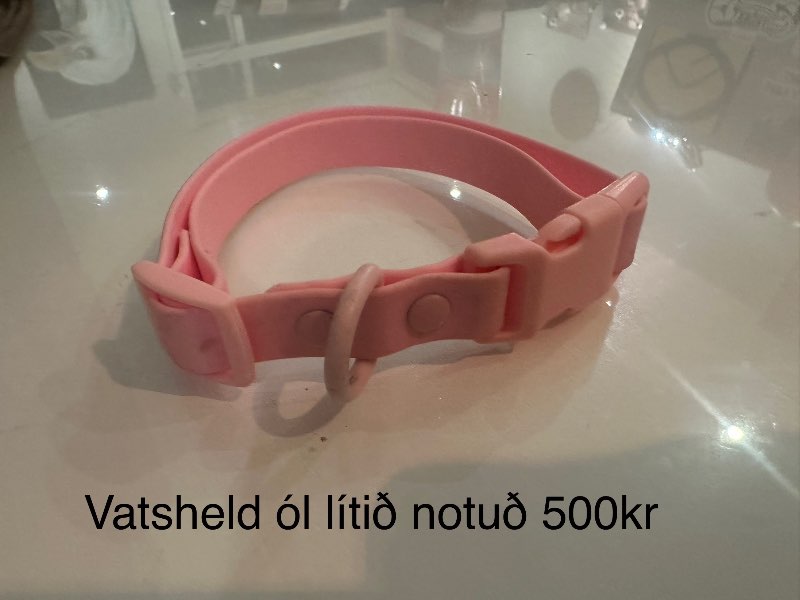 Bleik vatsheld hundaól