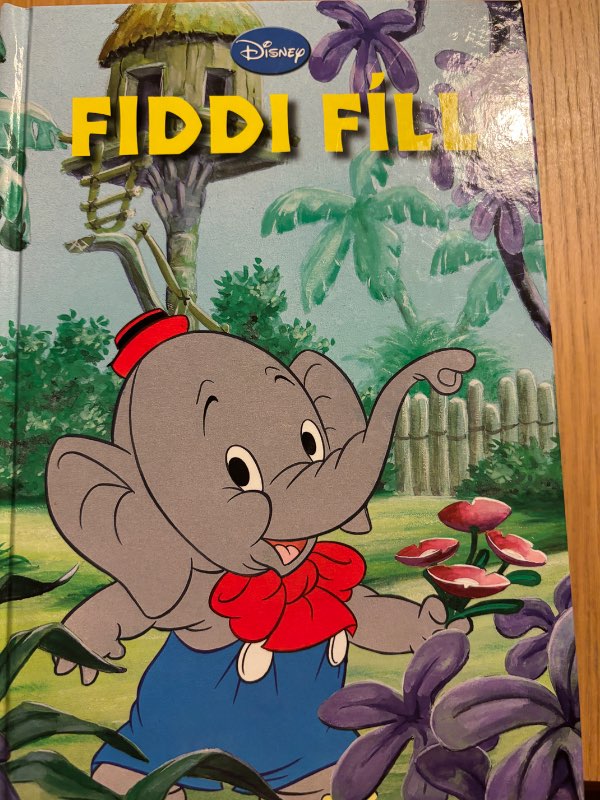 Fiddi fíll