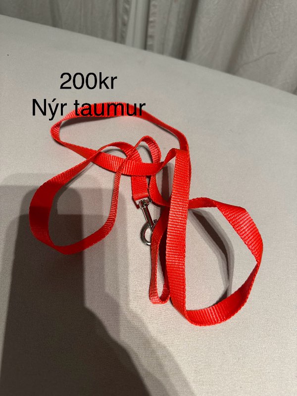 Nýr rauður taumur hunda