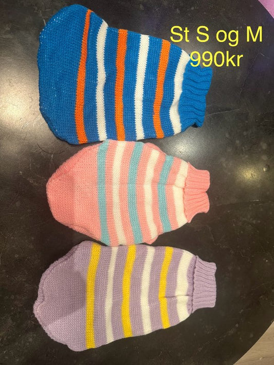 Blá röndótt peysa hunda