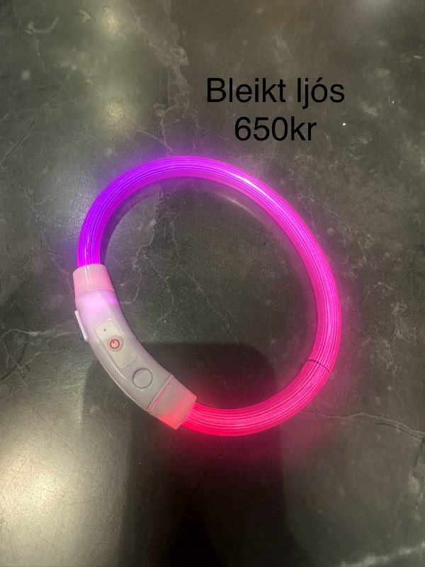 Bleikt ljós um háls dýra