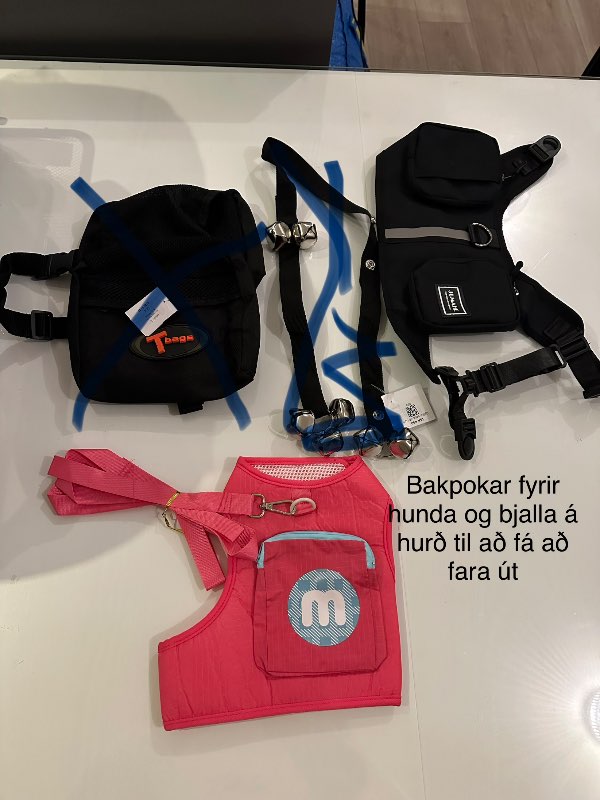 Svart bakpoka beisli hunda nýtt
