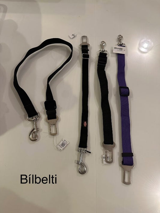 Bílbelti gæludýra