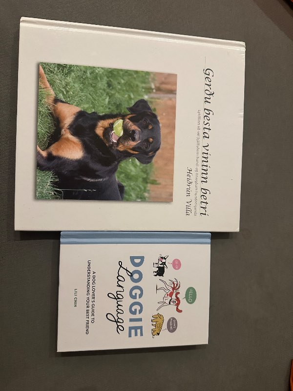 Doggie language - merkjamál hunda