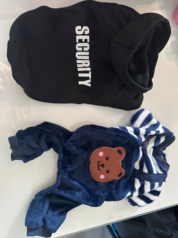 Bangsa smekkbuxna galli L blár