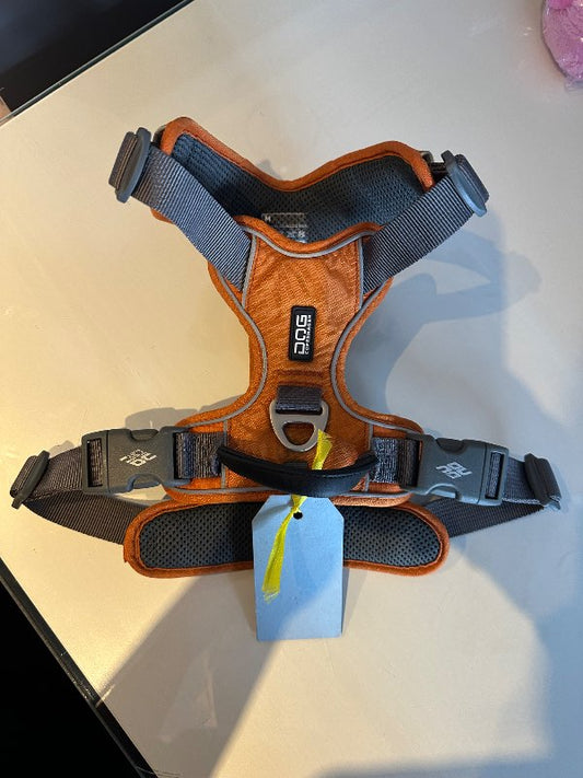 Dog co.. beisli appelsínug. M