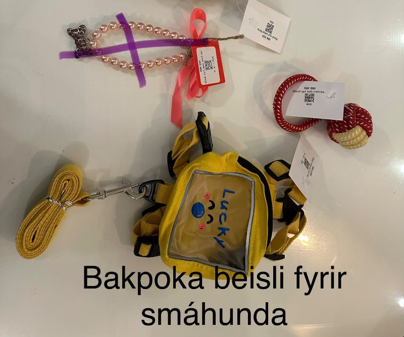 Nýtt gult bakpoka beisli og taumur