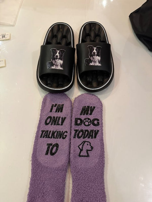 Fjólublá sokkar ég tala bara við hundinn minn