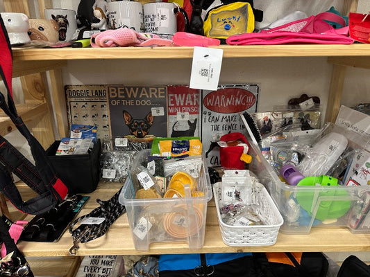 Hárbursti með hundamyndum