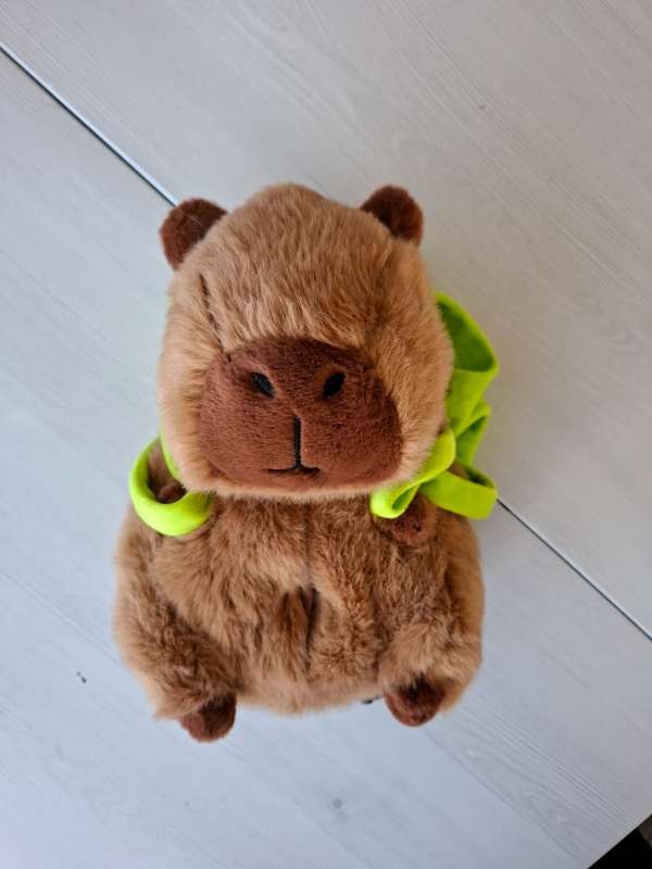 Bangsi - Capybara