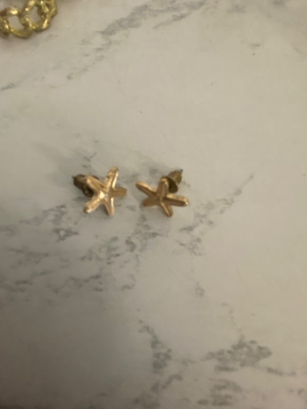 Gull lokkar starfish