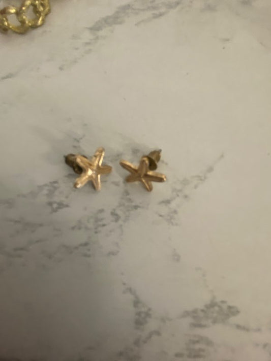 Gull lokkar starfish