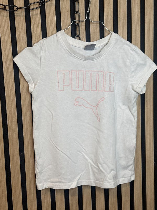 Puma bolur