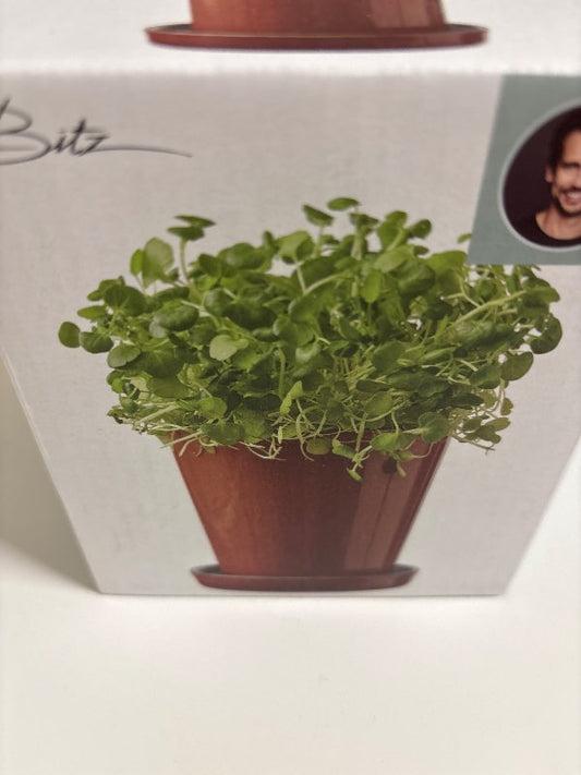 bitz pottur