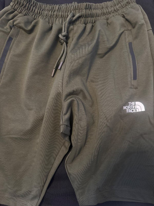 North face shorts